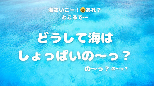 【🐟海ってどうしてしょっぱいの~?】暑~い夏は海水浴に行きたーい!