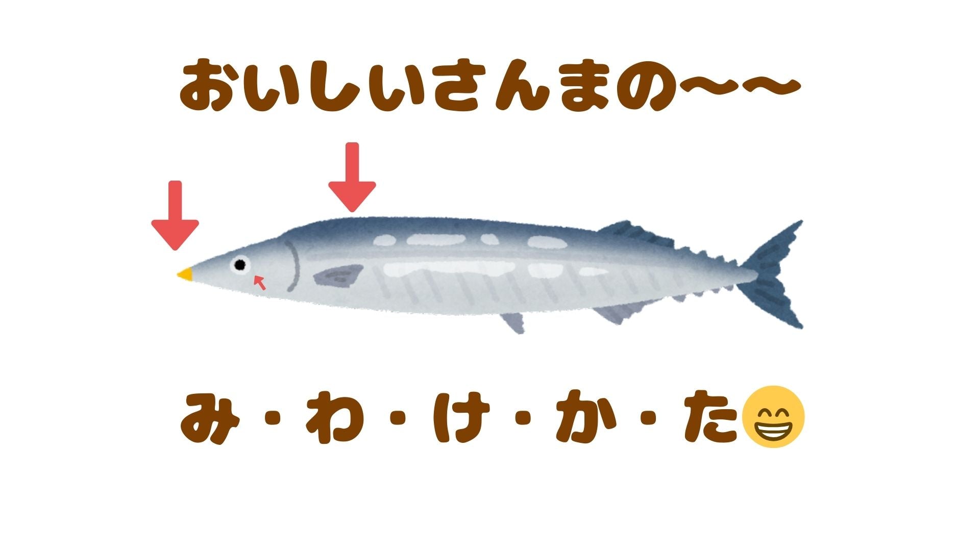 🐟おいし～いさんまの見分け方☝️！ここを見るべーしっ！】あなたは