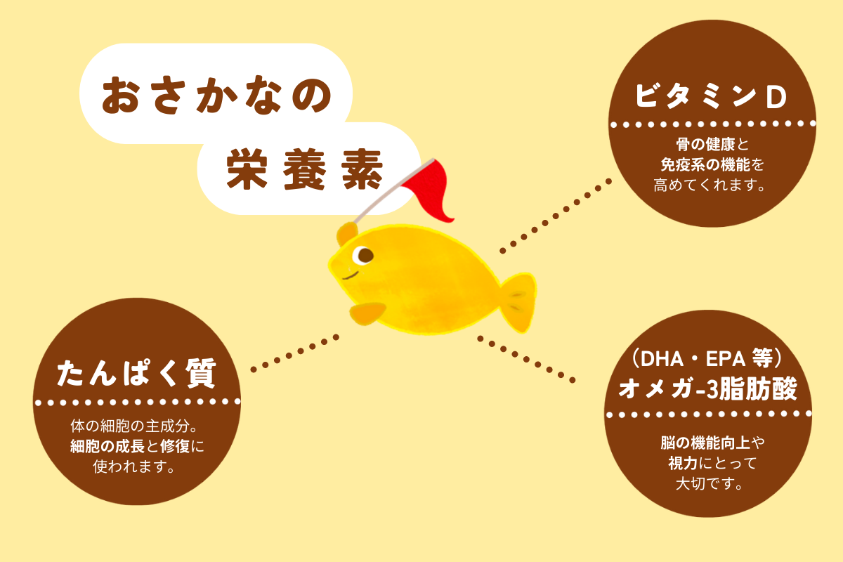 魅力いっぱいおさかなの栄養素