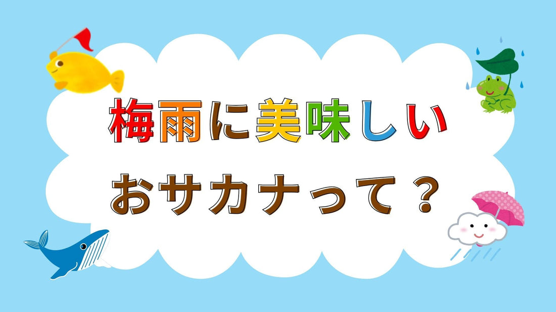 🐟梅雨においしくなるおサカナって？