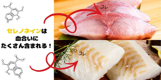 🐟ちょっとマニアックだけどすごい栄養があるのだ😎6文字です、知ってたら博士？！🐟