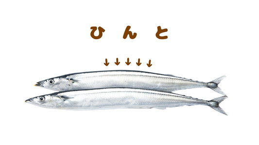 【🐟青魚なのに青くない？！食べると身は白いのに…！😆】海の生命の戦略ってすごい！🤩