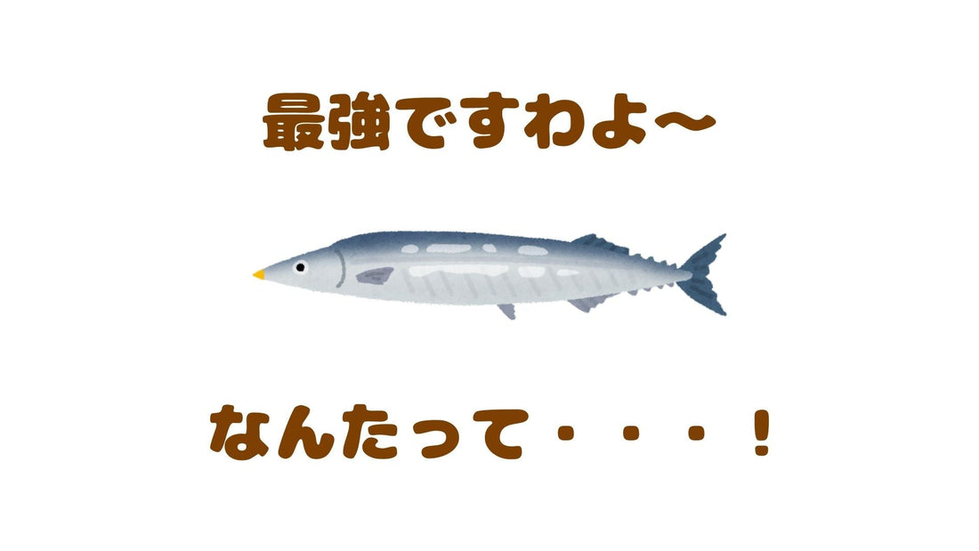 【🐟さんまの栄養は最強！】さんまが揚がり始めましたね～！秋です！