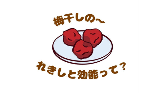 【🐟暑い季節を乗り切る梅干しパワー！😁】梅干しってどこから来たの？